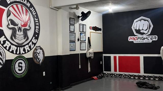 Imagem 1 da galeria do parceiro Pro Fighter ( Training Zone )