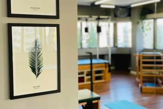 Imagem 1 da galeria do parceiro ALLMA PILATES