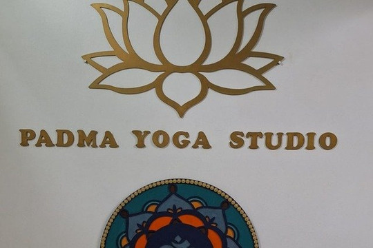 Imagem 3 da galeria do parceiro Padma Yoga Studio