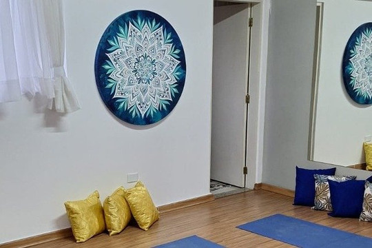 Imagem 2 da galeria do parceiro Padma Yoga Studio