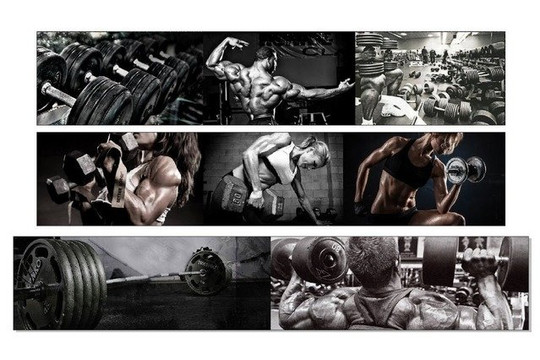 Imagem 1 da galeria do parceiro Academia Gargagyn