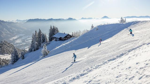 Bild 2 von Wandern am Brauneck / Skigebiet Lenggries.Brauneck Partnergalerie