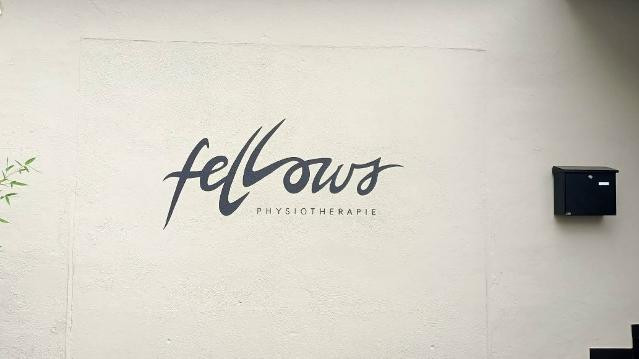 Bild 2 von Fellows X Handstandfabi Partnergalerie