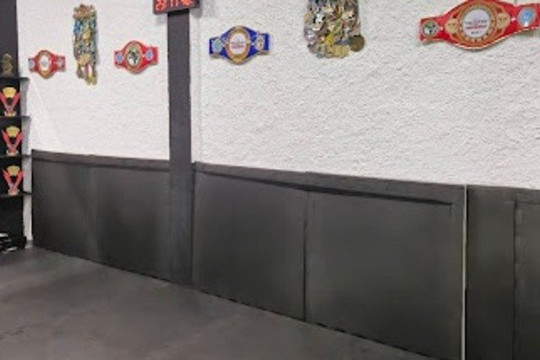 Imagem 3 da galeria do parceiro Frossard Team (Kickboxing da Serra)