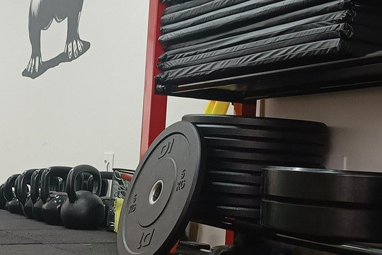 Imagem 3 da galeria do parceiro Gorilla Cross Training