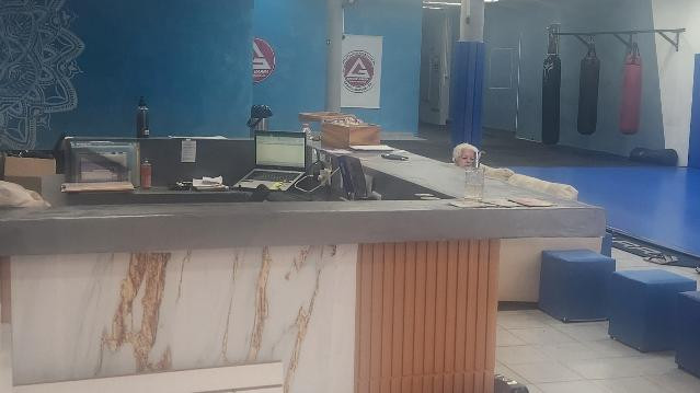 Imagem 3 da galeria do parceiro Gracie Barra - Caraguatatuba - Jiu-Jítsu