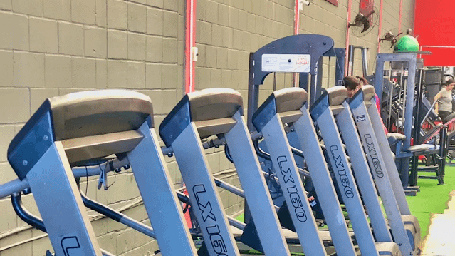 Imagem 3 da galeria do parceiro The Force Academia Unidade 2