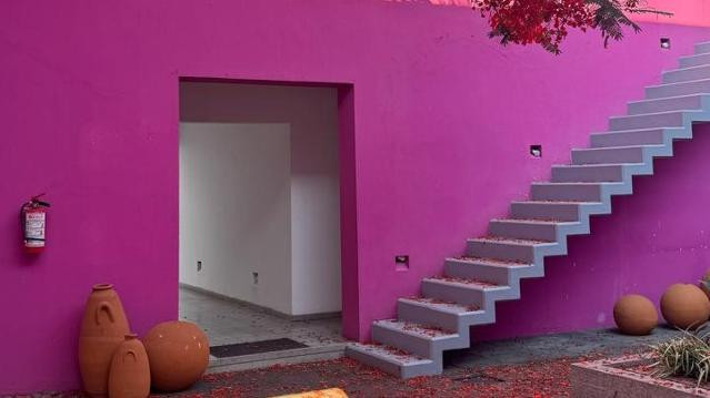 Imagen 2 de la galería del partner Sendaz Yoga, Arte, Movimiento - Chapalita