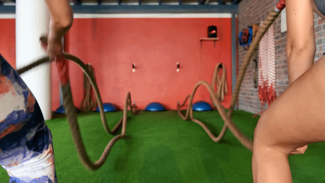 Image 2 from Omega Training Center partner gallery