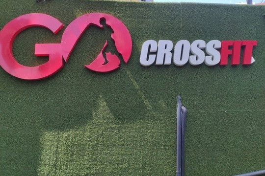 Imagem 1 da galeria do parceiro Go Horto CrossFit