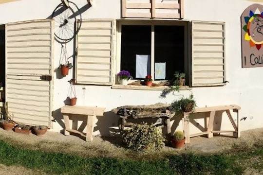 Immagine 2 dalla galleria del partner I Colibri yoga