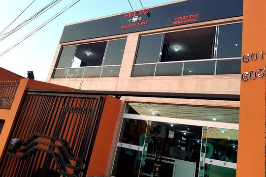 Imagem 2 da galeria do parceiro FELPZ MONSTER FITNESS