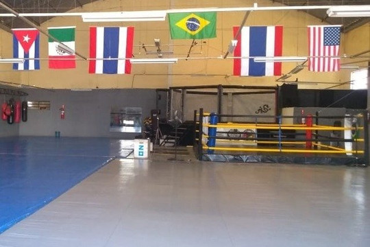 Imagem 1 da galeria do parceiro Ed Lutas Centro de Treinamento