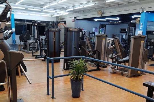 Imagem 1 da galeria do parceiro New Life