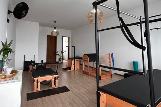 Imagem 1 da galeria do parceiro Viva Studio de Pilates