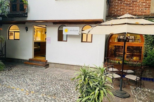 Imagen 2 de la galería del partner Soulcore by Lagree Altavista