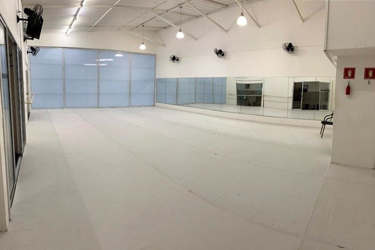 Imagem 3 da galeria do parceiro Studio de Ballet In-Pulso