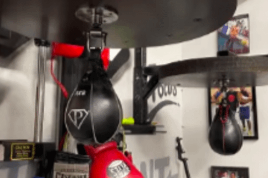 Image 3 from The Shop. Strength and Fitness partner gallery