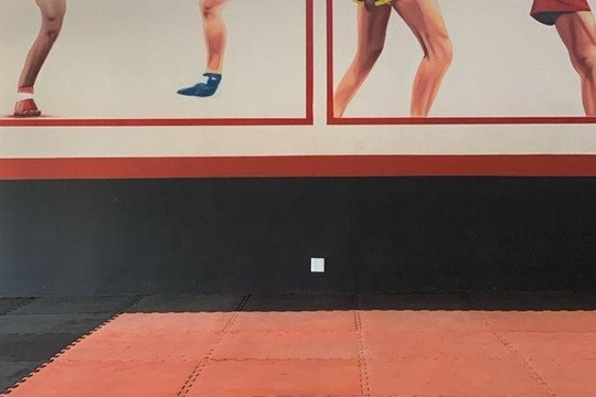 Imagem 3 da galeria do parceiro Academia Invictus Sanda / Kickboxing