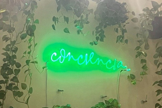 Imagen 3 de la galería del partner Ayurveda Urbana