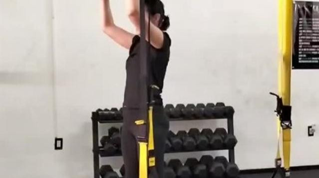 Imagen 3 de la galería del partner Bear Training