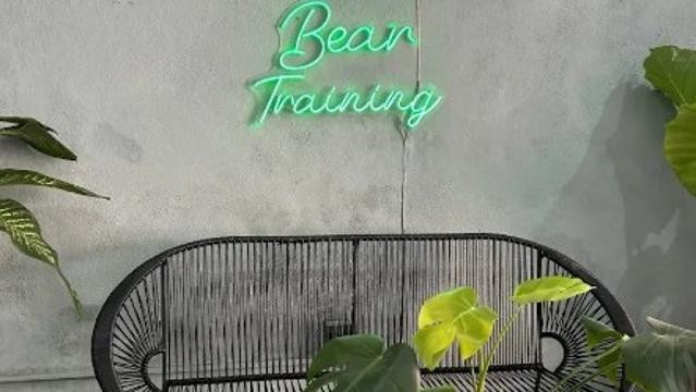 Imagen 2 de la galería del partner Bear Training