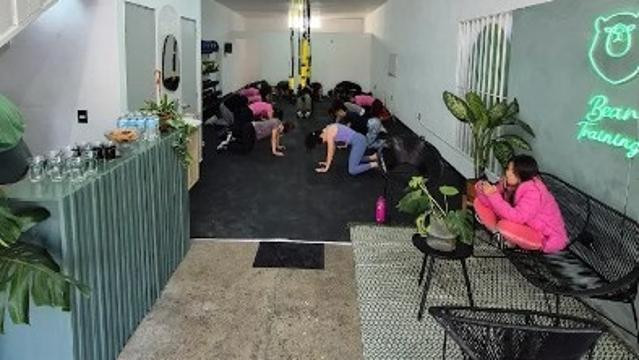 Imagen 1 de la galería del partner Bear Training