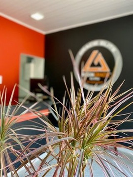 Imagem 3 da galeria do parceiro Centro Físico Zaroni.