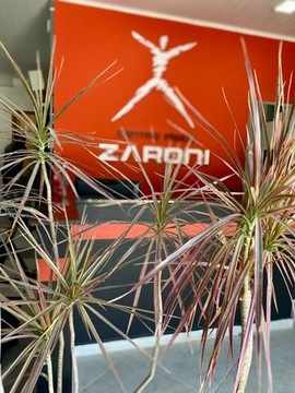 Imagem 2 da galeria do parceiro Centro Físico Zaroni.