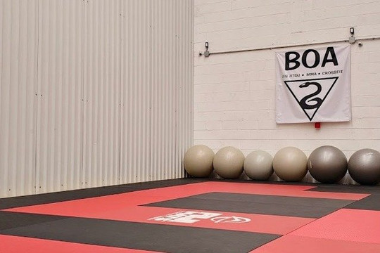 Imagen 1 de la galería del partner BOA Training Center