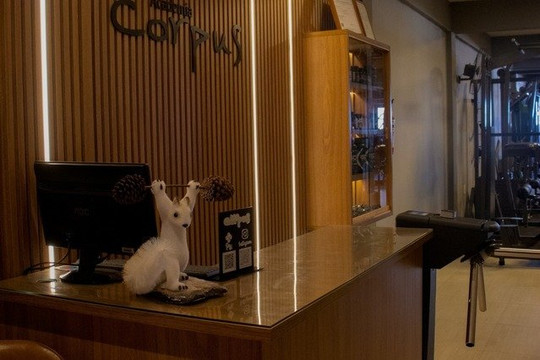 Imagem 1 da galeria do parceiro Academia Corpus