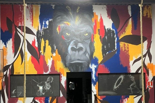 Imagem 1 da galeria do parceiro Jungle Box Vila Belmiro