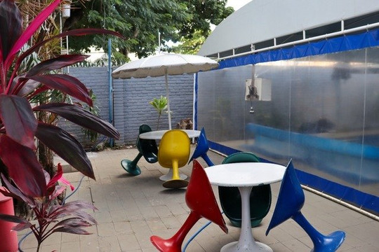 Imagem 1 da galeria do parceiro FUncionalmed