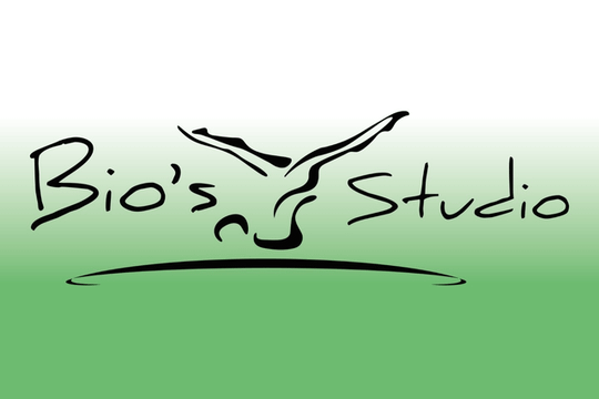 Imagem 1 da galeria do parceiro Bios Studio Pilates e Treino Funcional