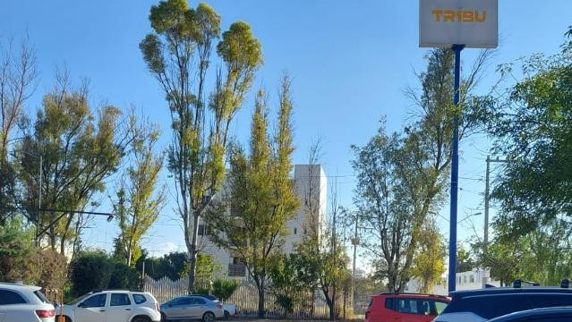 Imagen 2 de la galería del partner TR1BU Escuela de natación