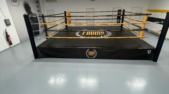 Imagen 3 de la galería del partner Club de Boxeo Daniel Fadina