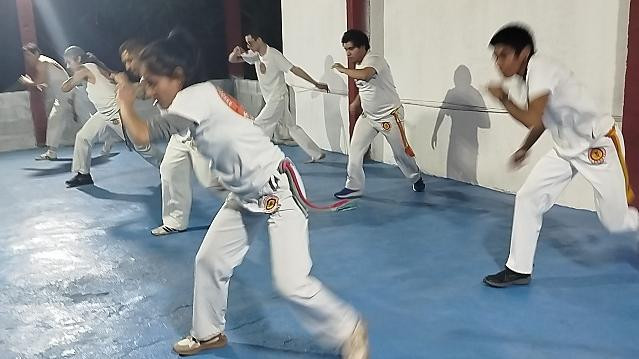 Imagen 2 de la galería del partner CAPOEIRA KWANZA MEXICO OFICIAL