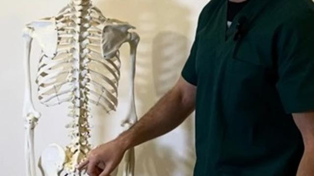 Immagine 1 dalla galleria del partner Studio di Mirco Brunetti - Pesaro