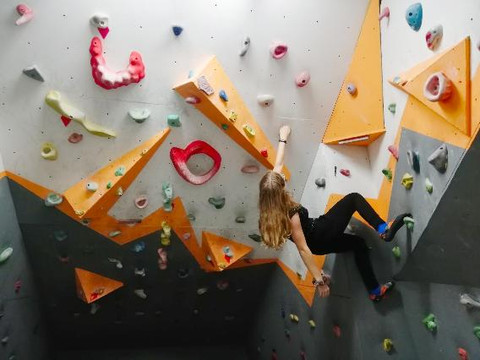 Imaginea 2 din Free Wall - Sala de escalada galeria partenerului