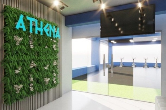 Imagem 1 da galeria do parceiro Studio Athena