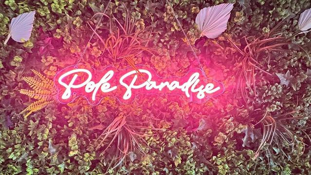 Image 1 from Pole Paradise Dance Studio partner gallery