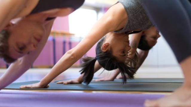 Bild 1 von Yoginatur Partnergalerie