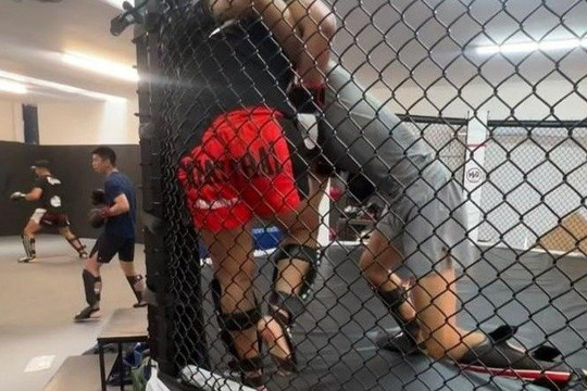 Image 3 from Miah Bros MMA Gym partner gallery