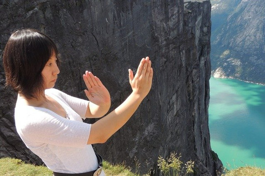 Image 1 from WingChun Berkeley partner gallery