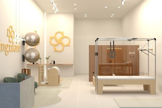 Imagem 3 da galeria do parceiro Studio Singulare - Pilates e Fisioterapia