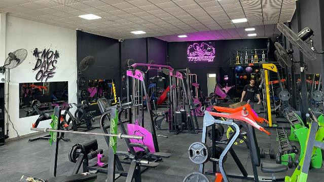 Imagen 1 de la galería del partner Titanium Gym