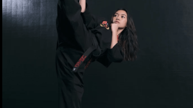 Image 3 from UMAD - Universal Martial Arts Dojos partner gallery