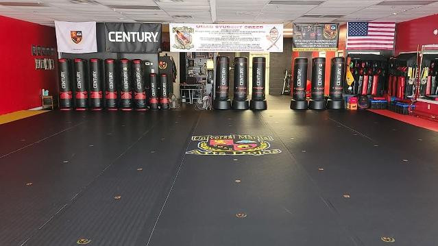 Image 1 from UMAD - Universal Martial Arts Dojos partner gallery