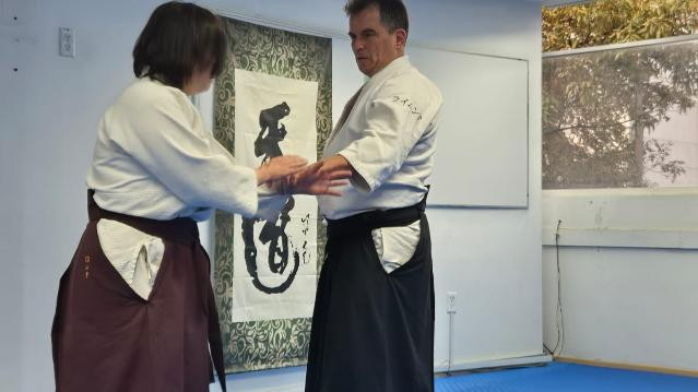 Imagen 3 de la galería del partner AIKIDO PATRIOTISMO