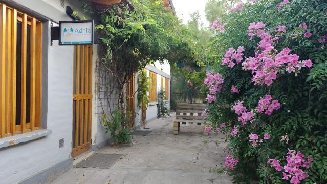 Imagen 2 de la galería del partner Adaia Yoga Shala